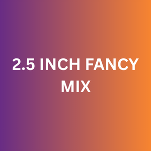 2 3/ 4 FANCY (3PCS)